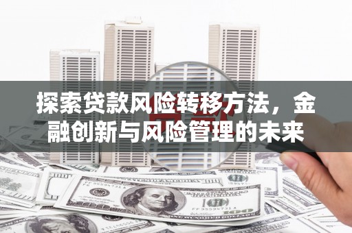 徐水探索贷款风险转移方法，金融创新与风险管理的未来