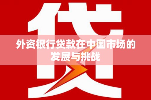 徐水外资银行贷款在中国市场的发展与挑战