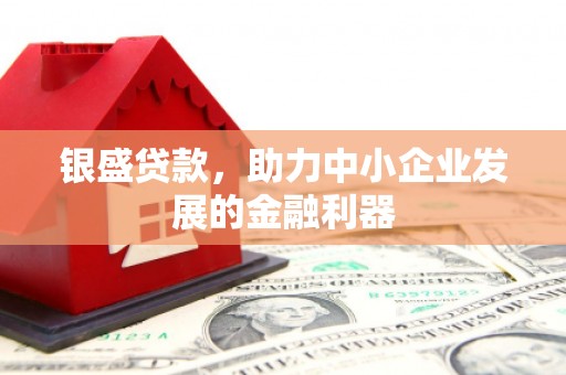 徐水银盛贷款，助力中小企业发展的金融利器