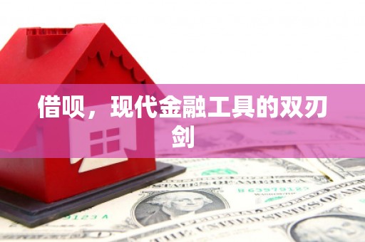 徐水借呗，现代金融工具的双刃剑