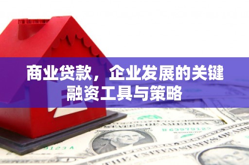 徐水商业贷款，企业发展的关键融资工具与策略