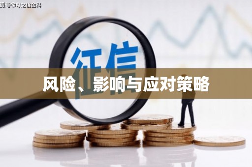 徐水风险、影响与应对策略