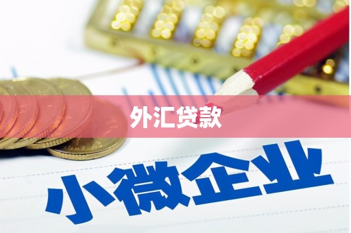 徐水外汇贷款