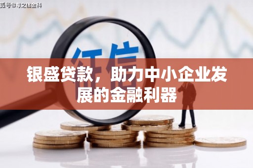 徐水银盛贷款，助力中小企业发展的金融利器
