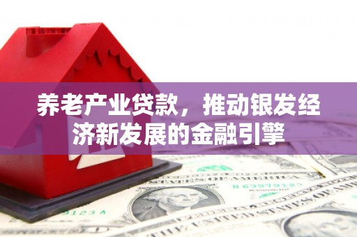 徐水养老产业贷款，推动银发经济新发展的金融引擎