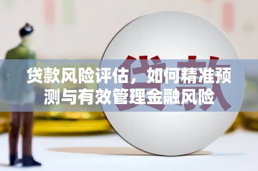 徐水贷款风险评估，如何精准预测与有效管理金融风险