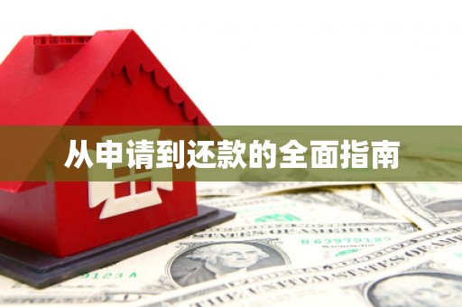 徐水从申请到还款的全面指南