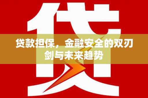 徐水贷款担保，金融安全的双刃剑与未来趋势