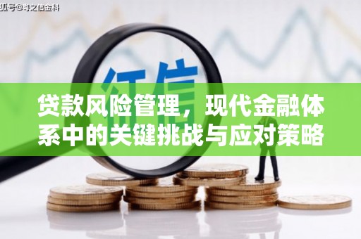 徐水贷款风险管理，现代金融体系中的关键挑战与应对策略