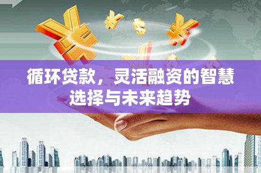 徐水循环贷款，灵活融资的智慧选择与未来趋势