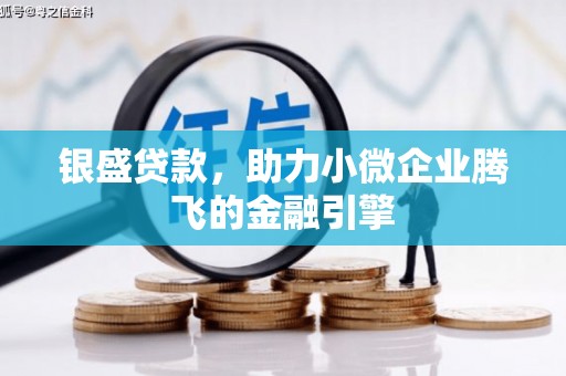 徐水银盛贷款，助力小微企业腾飞的金融引擎
