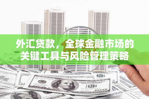 徐水外汇贷款，全球金融市场的关键工具与风险管理策略