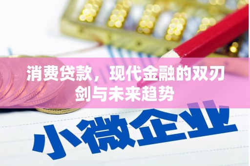 徐水消费贷款，现代金融的双刃剑与未来趋势
