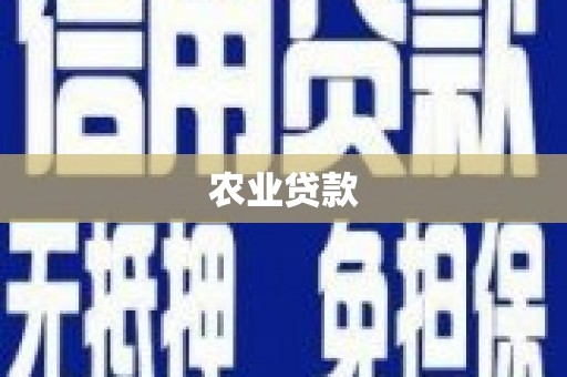 徐水农业贷款