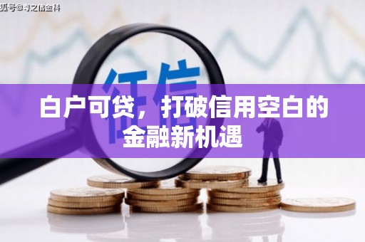 徐水白户可贷，打破信用空白的金融新机遇