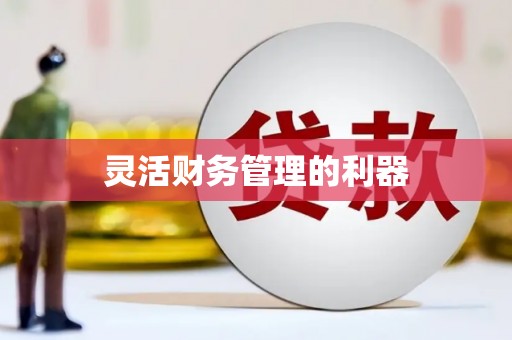 徐水灵活财务管理的利器