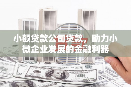 徐水小额贷款公司贷款，助力小微企业发展的金融利器