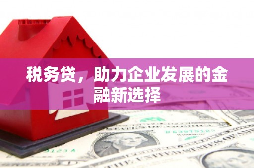徐水税务贷，助力企业发展的金融新选择
