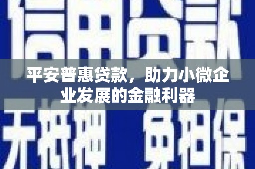 徐水平安普惠贷款，助力小微企业发展的金融利器