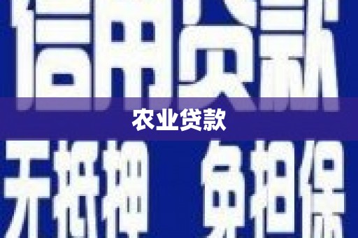 徐水农业贷款