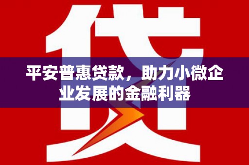 徐水平安普惠贷款，助力小微企业发展的金融利器