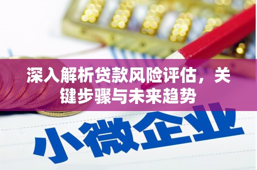 徐水深入解析贷款风险评估，关键步骤与未来趋势