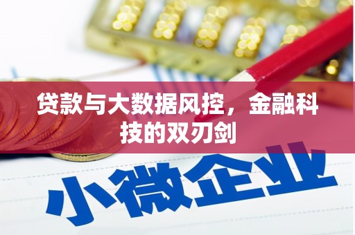 徐水贷款与大数据风控，金融科技的双刃剑
