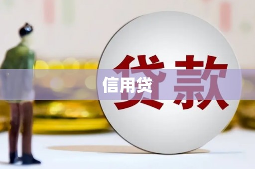 徐水信用贷
