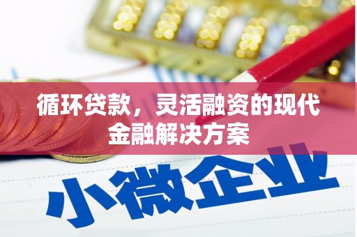 徐水循环贷款，灵活融资的现代金融解决方案