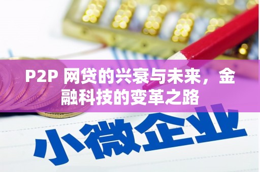 徐水P2P 网贷的兴衰与未来，金融科技的变革之路
