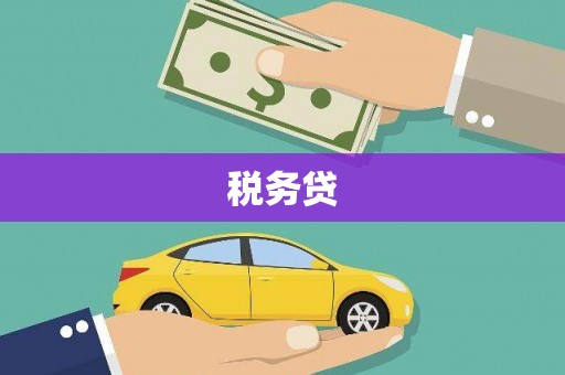 徐水税务贷