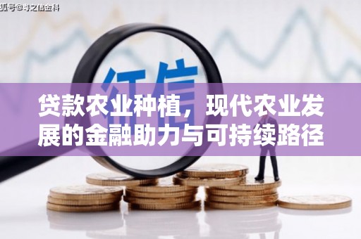 徐水贷款农业种植，现代农业发展的金融助力与可持续路径
