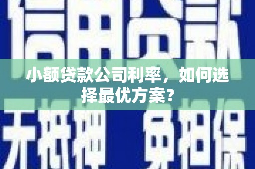 徐水小额贷款公司利率，如何选择最优方案？