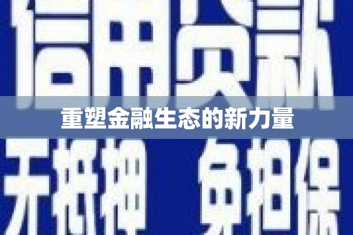 徐水重塑金融生态的新力量
