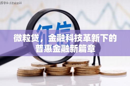 徐水微粒贷，金融科技革新下的普惠金融新篇章