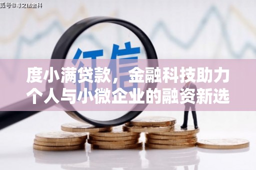 徐水度小满贷款，金融科技助力个人与小微企业的融资新选择