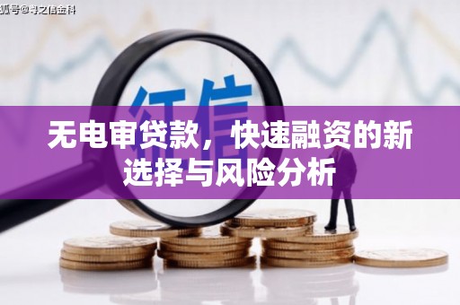 徐水无电审贷款，快速融资的新选择与风险分析