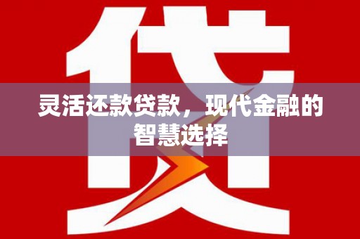 徐水灵活还款贷款，现代金融的智慧选择
