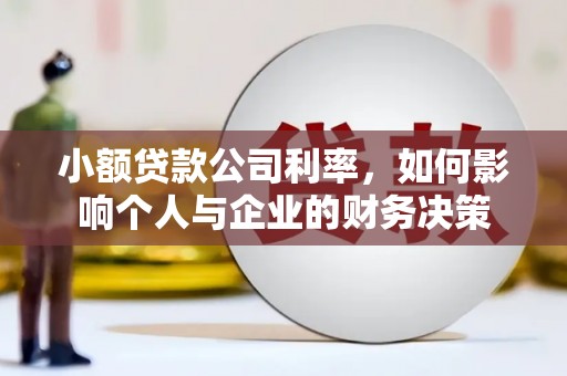 徐水小额贷款公司利率，如何影响个人与企业的财务决策
