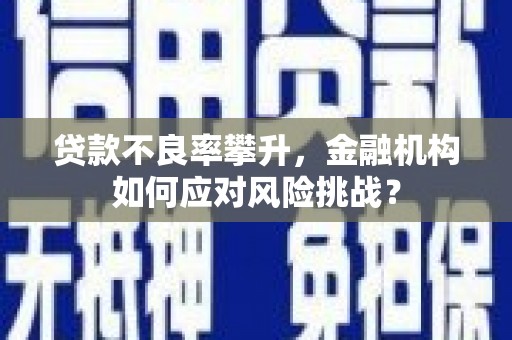 徐水贷款不良率攀升，金融机构如何应对风险挑战？