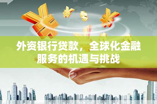 徐水外资银行贷款，全球化金融服务的机遇与挑战