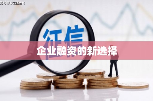 徐水企业融资的新选择