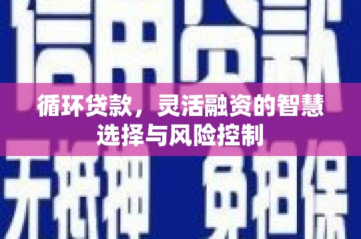 徐水循环贷款，灵活融资的智慧选择与风险控制