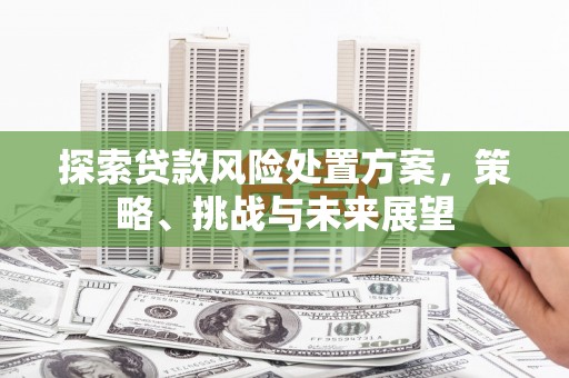徐水探索贷款风险处置方案，策略、挑战与未来展望