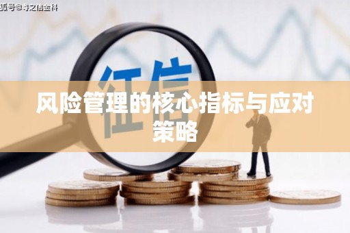 徐水风险管理的核心指标与应对策略