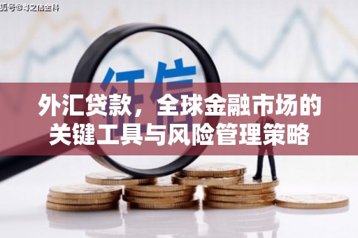 徐水外汇贷款，全球金融市场的关键工具与风险管理策略