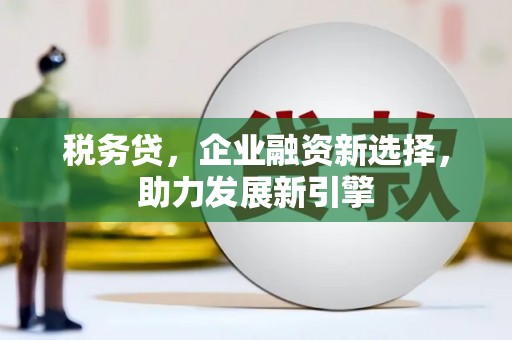 徐水税务贷，企业融资新选择，助力发展新引擎