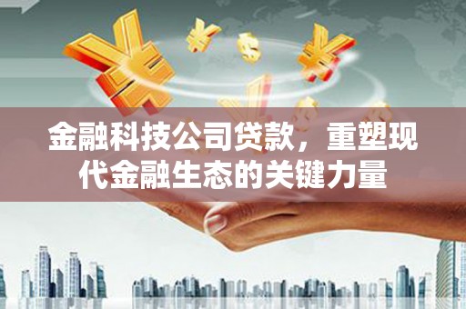 徐水金融科技公司贷款，重塑现代金融生态的关键力量