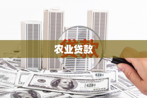 徐水农业贷款