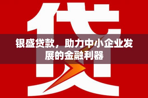 徐水银盛贷款，助力中小企业发展的金融利器